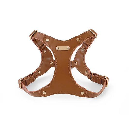 Dog Harness & Leash Set - Leather
