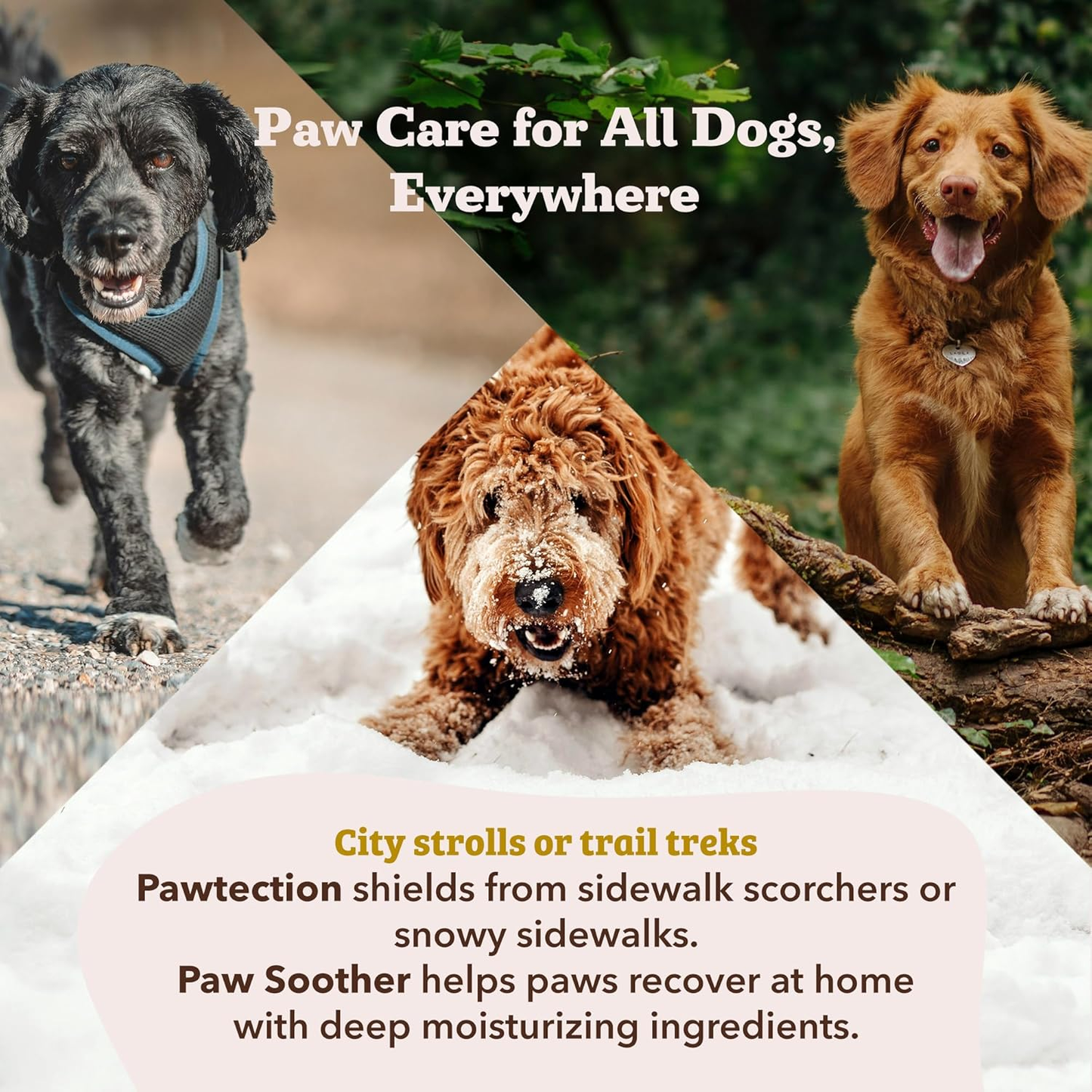 Pawtection Balm for Dogs, Dog Paw Protector, Moisturizing Dog Paw Balm for Dry, Cracked Pad, Protects Paw from Extreme Weather, Paw Lotion for Allergies & Itching (1 Oz Tin)